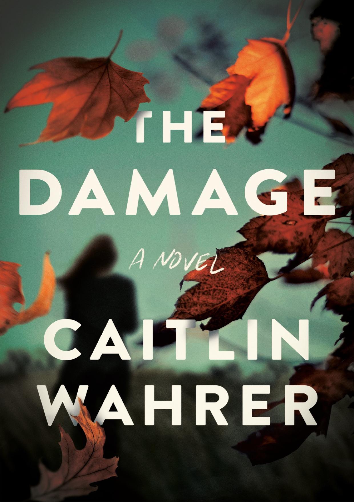The Damage by Caitlin Wahrer