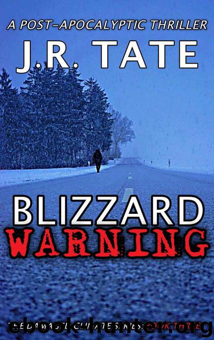 The Damaged Climate Series (Book 3): Blizzard Warning by Tate J.R
