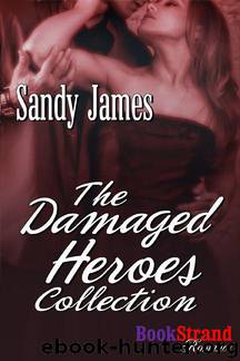 The Damaged Heroes Collection [Box Set #1: The Damaged Heroes Collection] (BookStrand Publishing Mainstream) by James Sandy