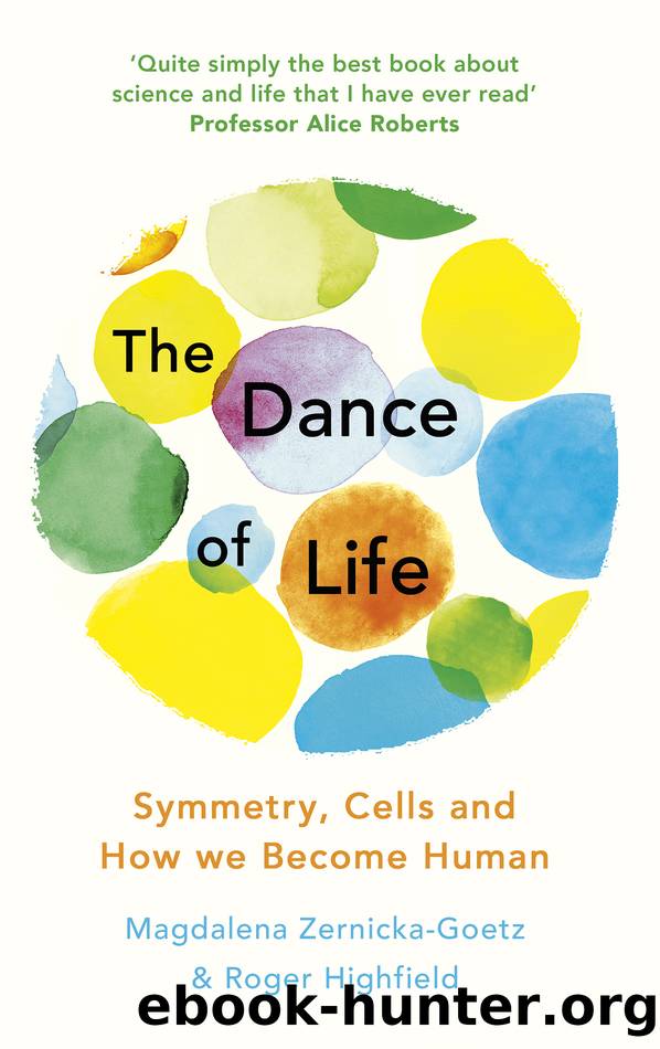 The Dance of Life by Magdalena Zernicka-Goetz & Roger Highfield
