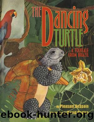 The Dancing Turtle by Pleasant Despain
