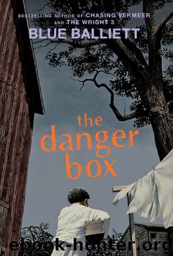 The Danger Box by Blue Balliett