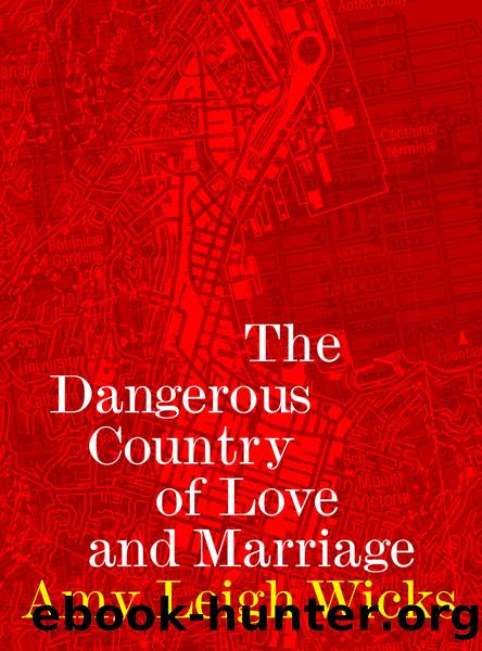 The Dangerous Country of Love and Marriage by Amy Leigh Wicks