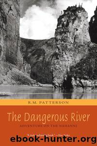 The Dangerous River by R. M. Patterson