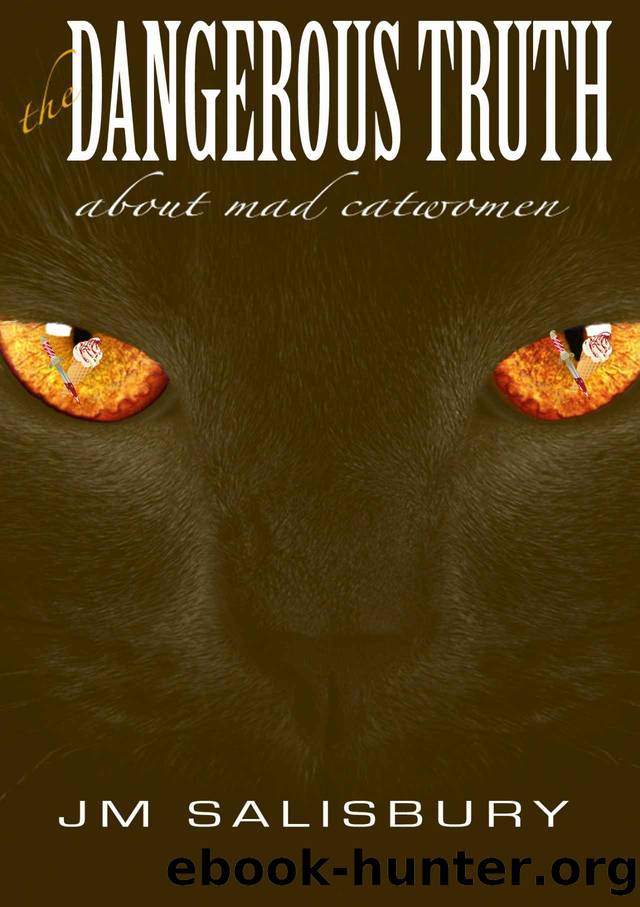 The Dangerous Truth about Mad Catwomen (Tales of ice-cream and espionage) by J M Salisbury