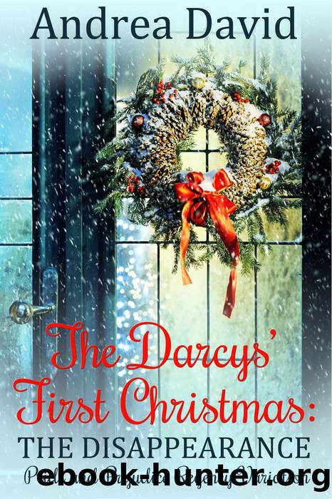 The Darcys' First Christmas by Andrea David