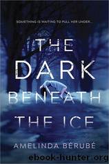 The Dark Beneath the Ice by Amelinda Berube