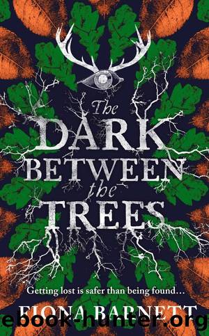 The Dark Between the Trees by Fiona Barnett