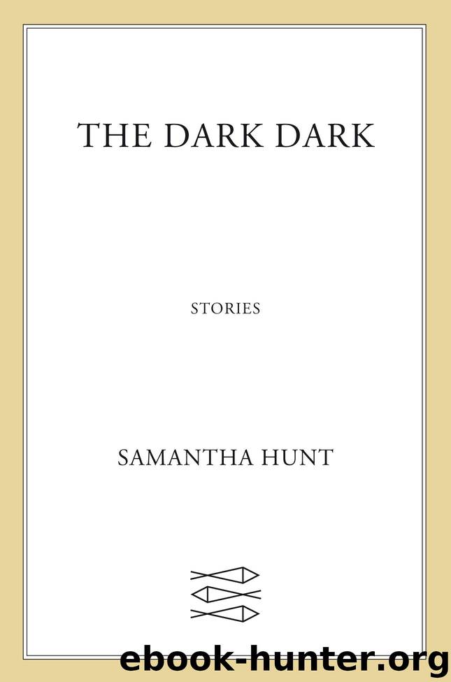 The Dark Dark by Samantha Hunt