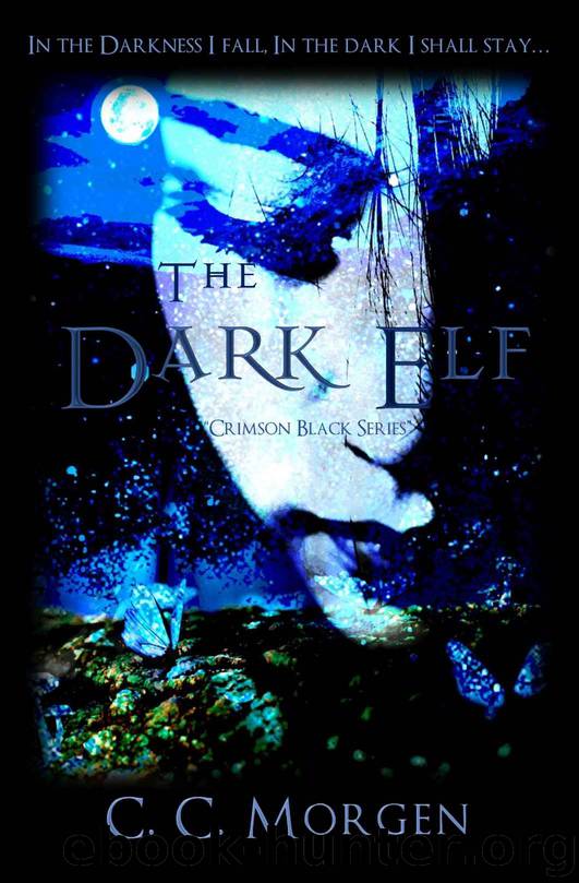 The Dark Elf by C C Morgen