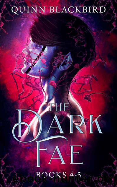 The Dark Fae Box Set 2: A Dark Paranormal Romance by Quinn Blackbird