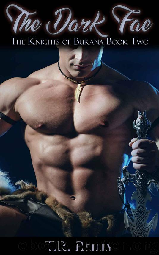 The Dark Fae: The Knights of Burana Paranormal Romance Series Book Two by Reilly T.R