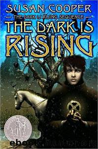 The Dark Is Rising 2 by Susan Cooper