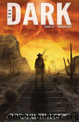 The Dark Issue 22 by Carlie St. George
