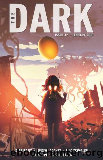 The Dark Issue 32 by Lindiwe Rooney