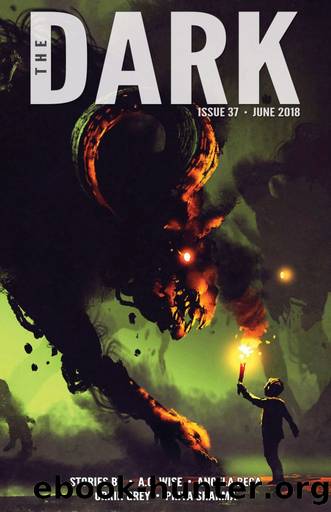 The Dark Issue 37 by A.C. Wise