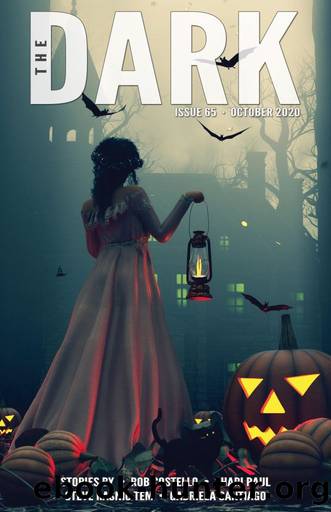 The Dark Issue 65 by Rob Costello
