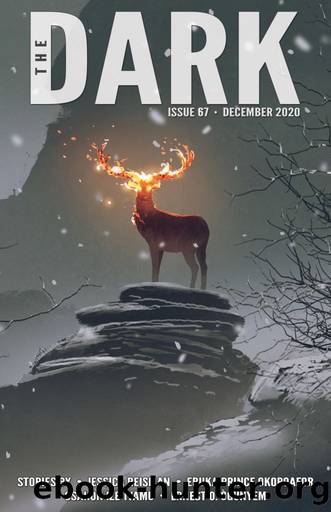 The Dark Issue 67 by Jessica Reisman