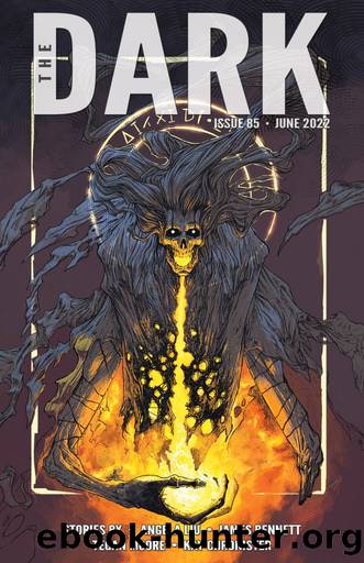 The Dark Issue 85 by The Dark Magazine