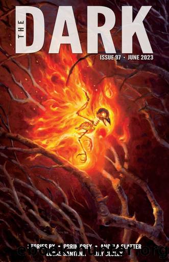 The Dark Issue 97 by The Dark Magazine