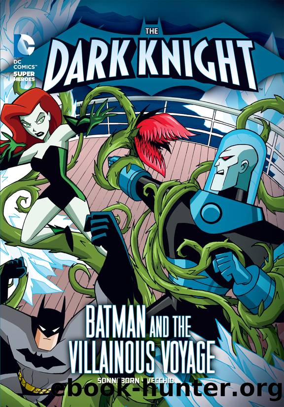 The Dark Knight by Scott Sonneborn