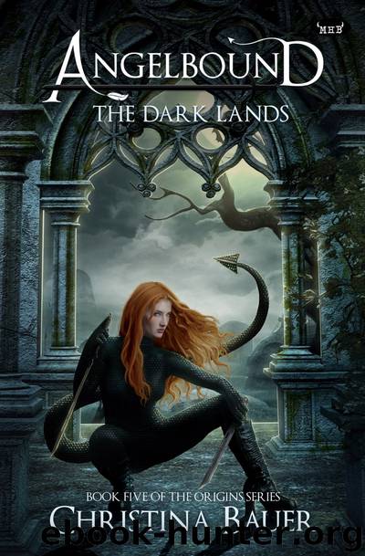 The Dark Lands by Bauer Christina;