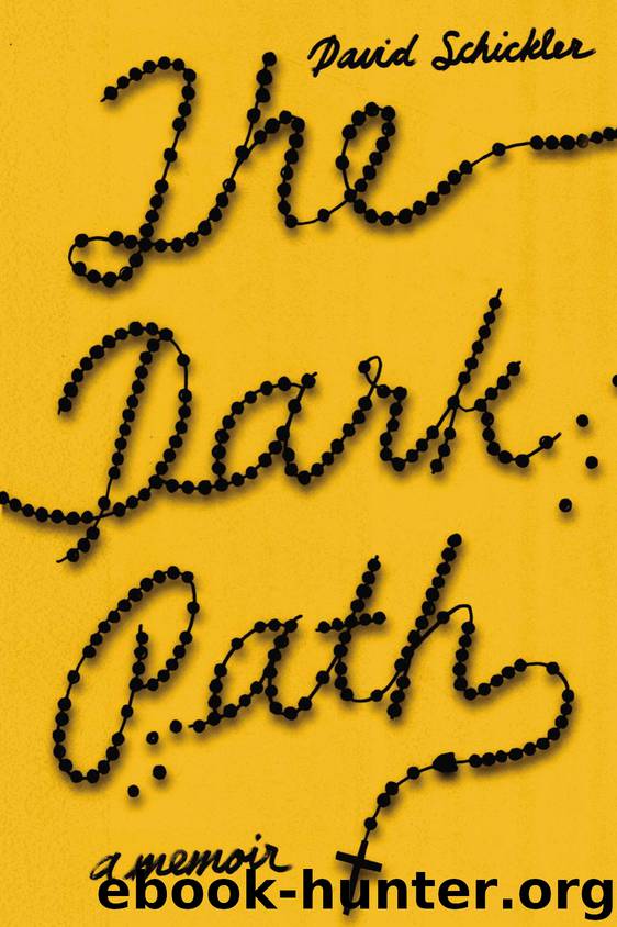 The Dark Path by David Schickler