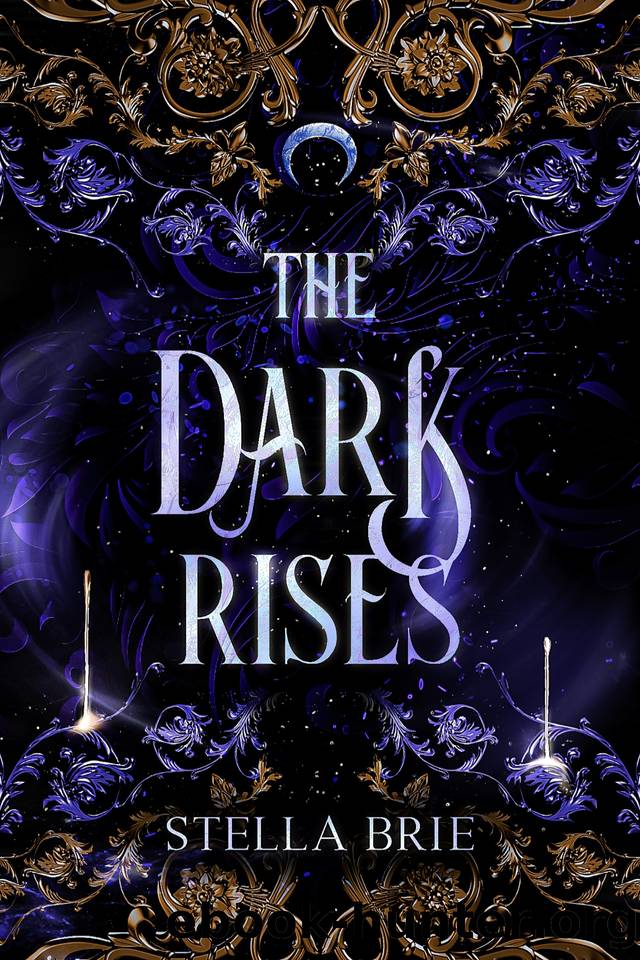 The Dark Rises (The Killian Blade Series Book 6) by Stella Brie