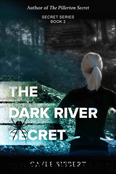 The Dark River Secret by Gayle Siebert