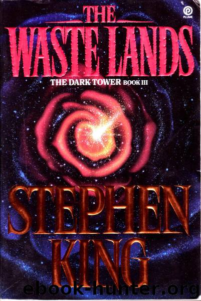 The Dark Tower 03 - The Waste Lands by Stephen King