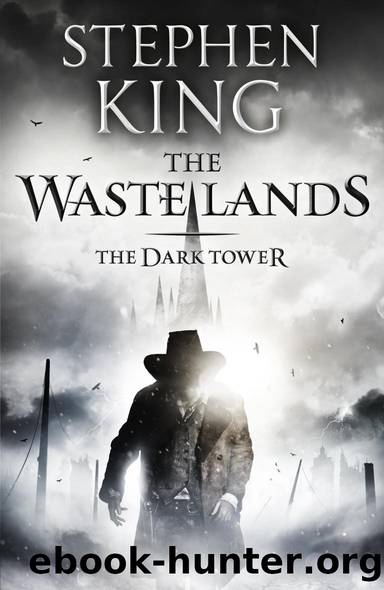 The Dark Tower 3 - The Waste Lands by Stephen King