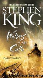 The Dark Tower V - The Wolves of the Calla by Stephen King