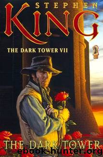 The Dark Tower VII - The Dark Tower by Stephen King