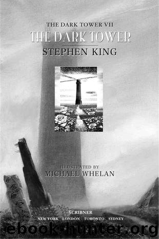 The Dark Tower VII: The Dark Tower (v. 7) by King Stephen