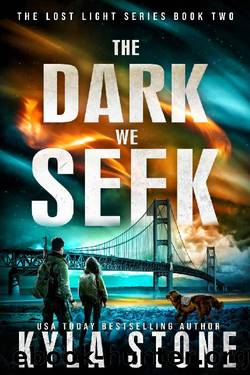 The Dark We Seek: A Post-Apocalyptic Survival Thriller (Lost Light Book 2) by Kyla Stone