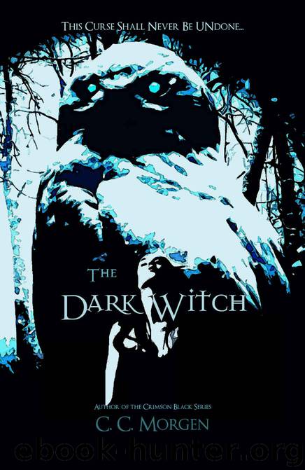 The Dark Witch by C C Morgen