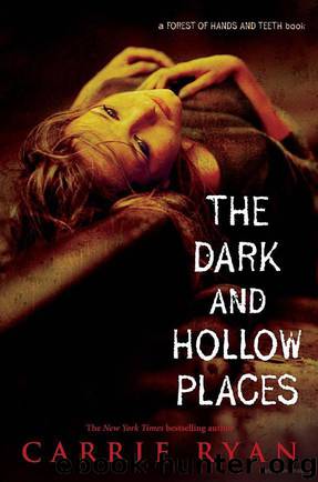 The Dark and Hollow Places [book 3] by Carrie Ryan