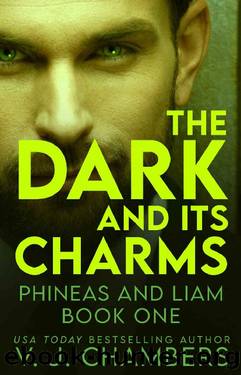 The Dark and Its Charms: a serial killer thriller (Phineas and Liam Book 1) by V. J. Chambers