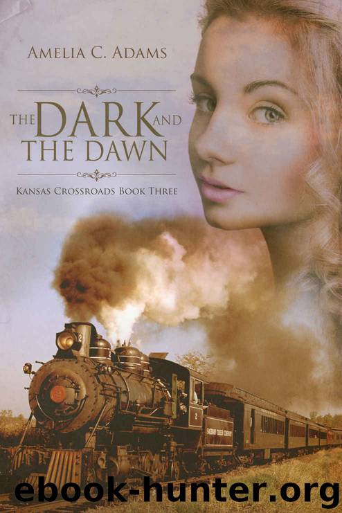 The Dark and the Dawn (Kansas Crossroads Book 3) by Amelia C. Adams