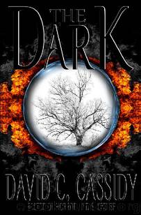 The Dark by David C. Cassidy