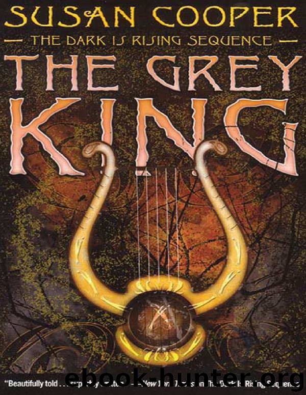 The Dark is Rising 04 - The Grey King by Susan Cooper