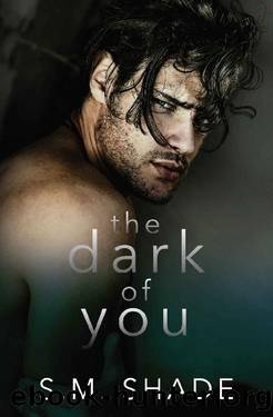 The Dark of You by S.M. Shade