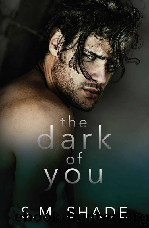 The Dark of You by Shade S.M