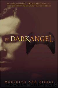 The Darkangel by Pierce Meredith Ann