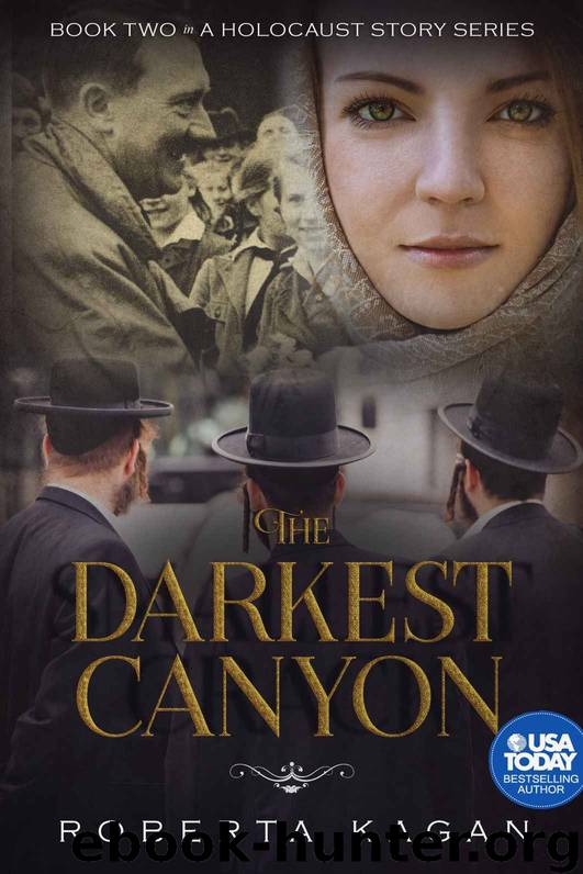 The Darkest Canyon by Roberta Kagan
