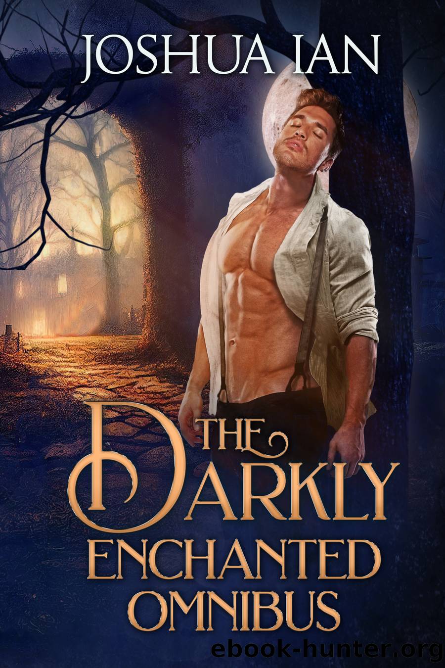 The Darkly Enchanted Omnibus: a Gothic Romance Collection, Volume 1: Darkly Enchanted Romance, #3.5 by Joshua Ian