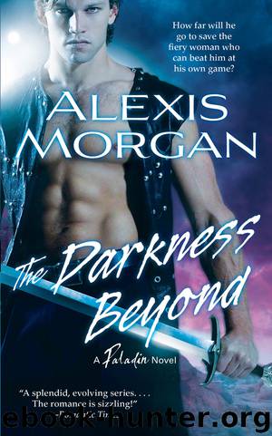 The Darkness Beyond: A Paladin Novel by Alexis Morgan