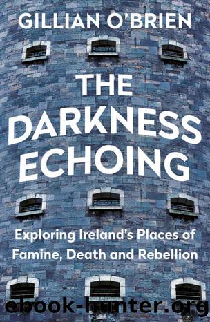 The Darkness Echoing by Dr Gillian O'Brien