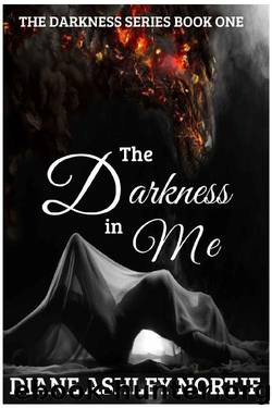 The Darkness in Me by Diane Nortje