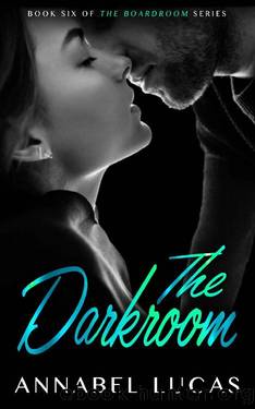 The Darkroom: Book Six of The Boardroom Series by Annabel Lucas